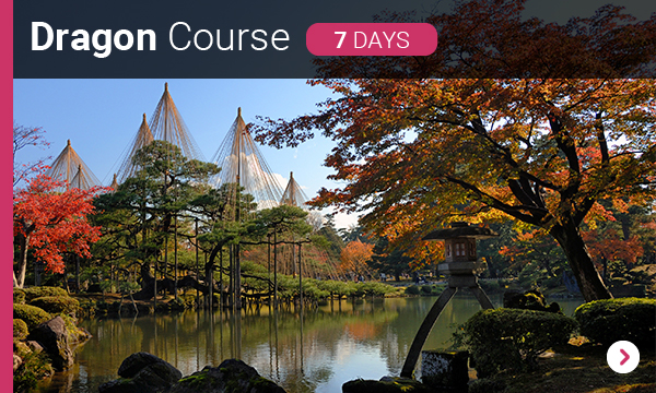 Dragon Course